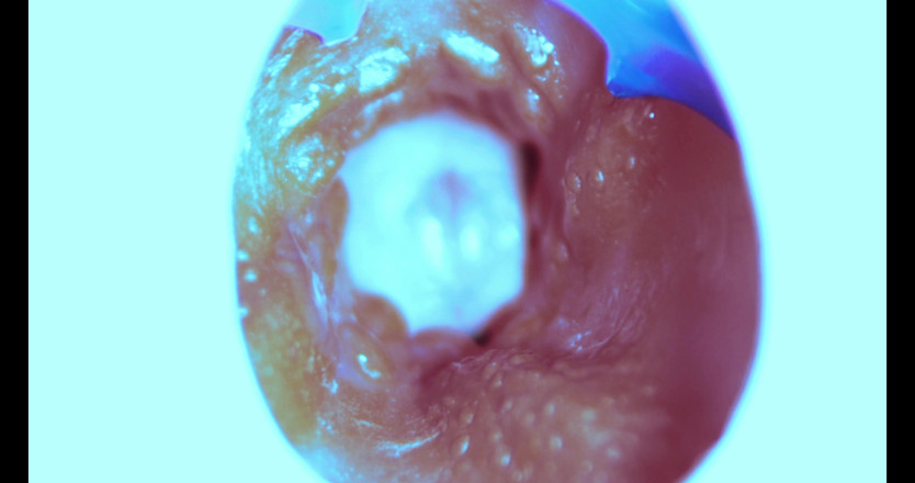 SEXY_GUYBEST: Jak pieprzę od wewnątrz! Kamera w środku!