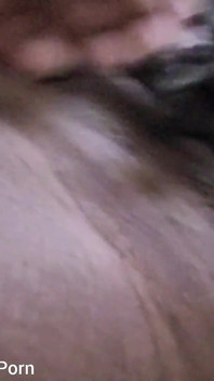 Gros plan, caresse ma grosse chatte