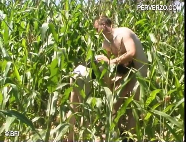 Experienced Men in Control: Seks threesome di ladang jagung