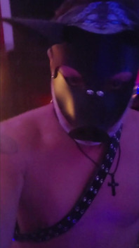 Babi BigsexyDaddyd MembuatKan Domkat Kat-Licious Squeal Dalam Keseronokan