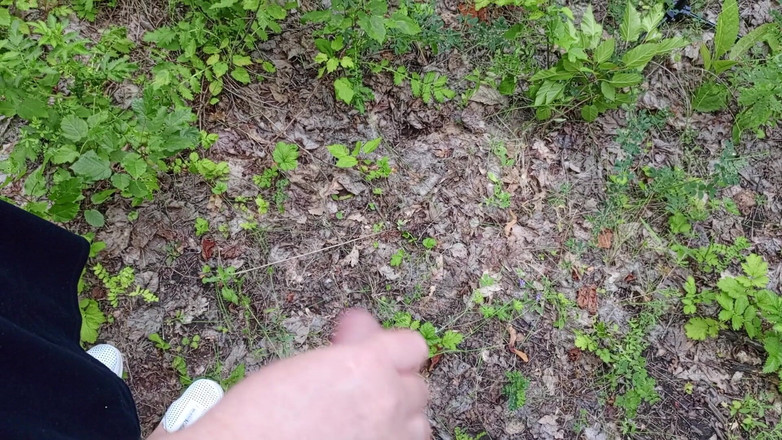 Zona901: Ma belle-mère me suce la bite dans un parc et...