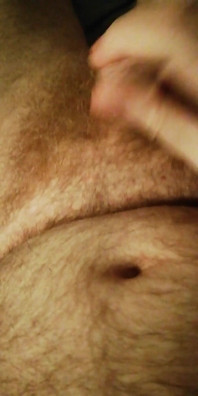 Stepdaddy Cumming All Over My Hairy Bear Belly