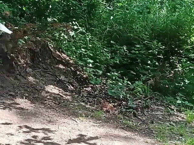 Old Sexy Hitchhiker Whore From Street Fucked in Forest with and Then Without a Condom (Street bitch milf)