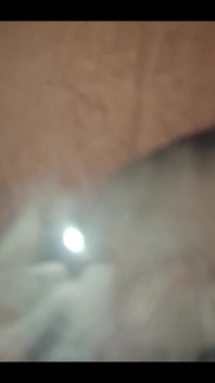 749771317682647040.mp4