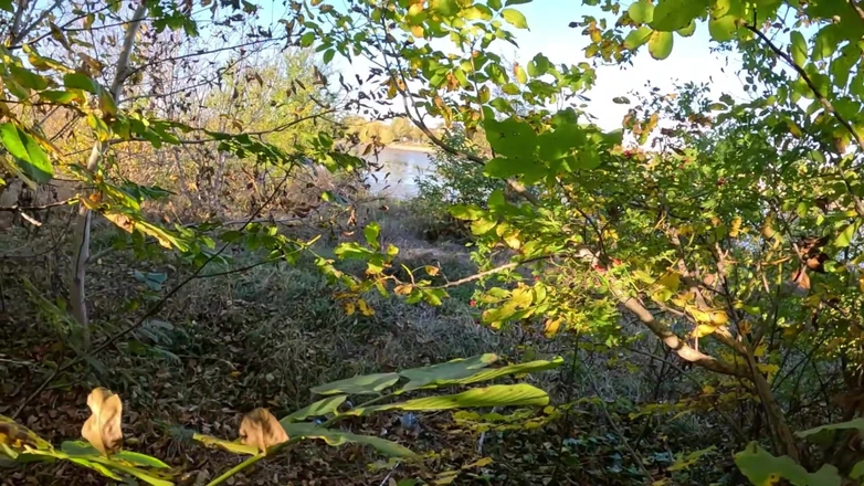 MilfyCalla: Рискованный минет на улице у озера Красное, блестящий пуховок, фетиш 316