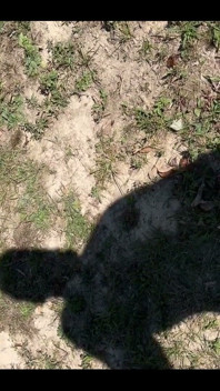 Shadow of Me Beating My Dick Outside Again
