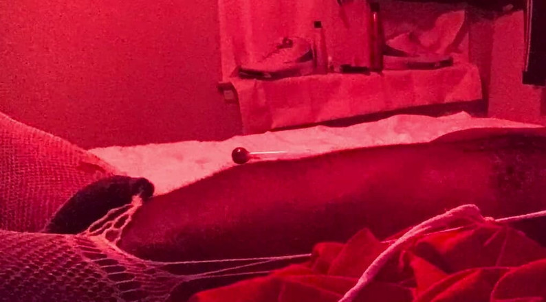 Masks off: Sex po telefonu