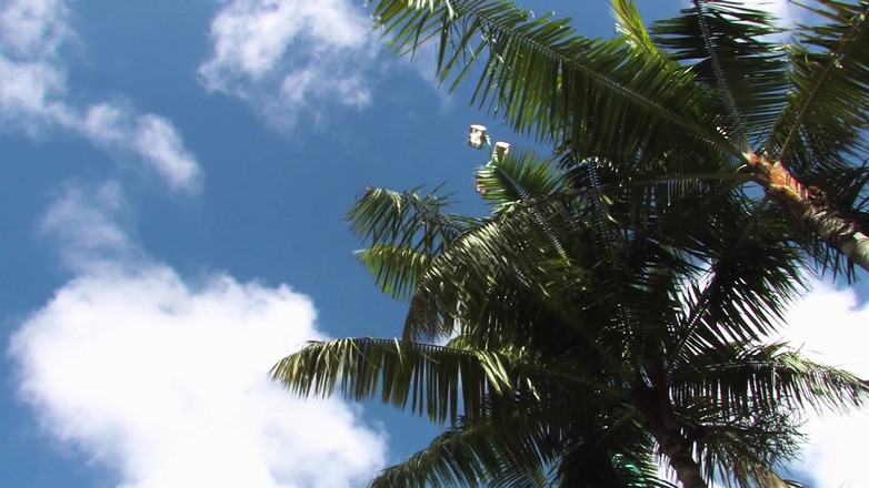 Transsensual: Scena fiicei mele vitrege TS2 vrea pula ta