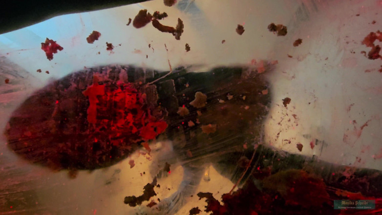 Strict Senz: 거대한 을 분쇄하는 Monika Schmidt 버거는 부츠 숭배를 뱉어