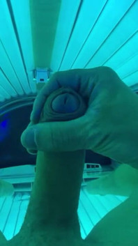 Bigpoppa2023 Sun Bed