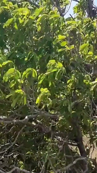 Sesso all'aperto con due caldi in una casa abbandonata sulla spiaggia