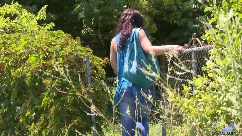 Anilos: Aventure en plein air