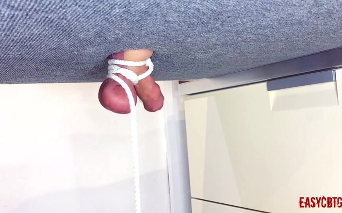 AnnyCandyPainboy: 女主人绑球和鸡巴并玩弄他们 easycbtgirl