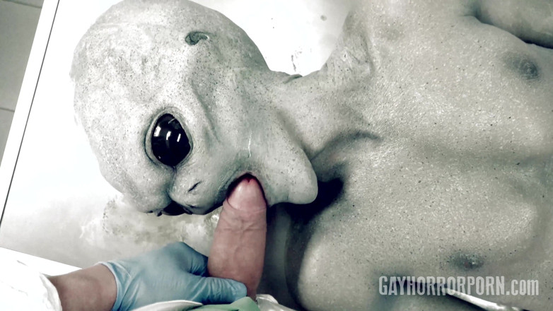 Gay Horror Porn: Gay Horror Porn 2 Ufo From Roswell (gay Edition)