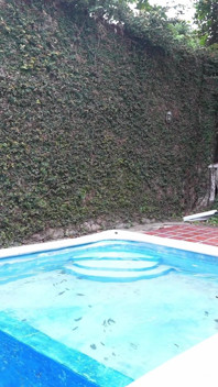 Kurvige 18-jährige Latina Jungfräuliche Pool-lektion Wird Zu Tabu, Gesichtsfick-fest
