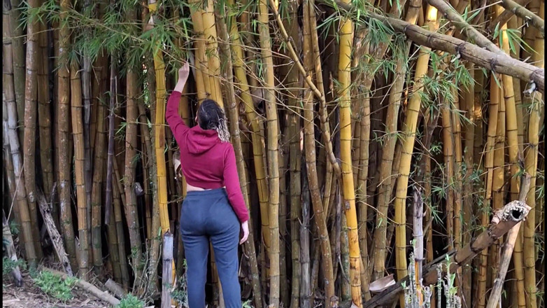 Victor SweetCoupleStories: Un extraño me folló en el bosque