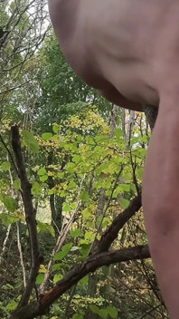 Anaal plezier met Tak van Boom in het bos