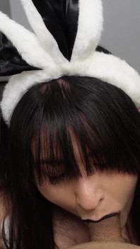 Breedable Bunny