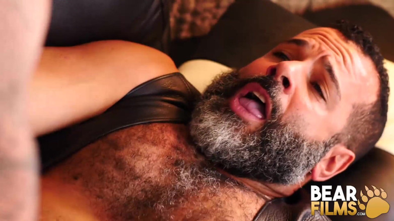 Bear Films: BEARFILMS Bear Sterling Johnson raw bred by Brendan Patrick