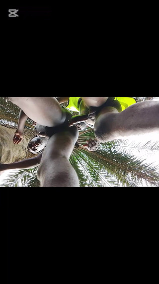 Porchey: Ovace ve stoje mého pracovníka šukej špatně v práci