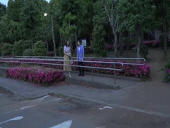 Raptor Inc: La vecchia signora al parco sembrava annoiata, ma fu fuori...