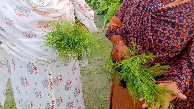 Hoktoml99: Rakib69 _ Bangla Desi Outdoor Village 3 Some Mms Hot