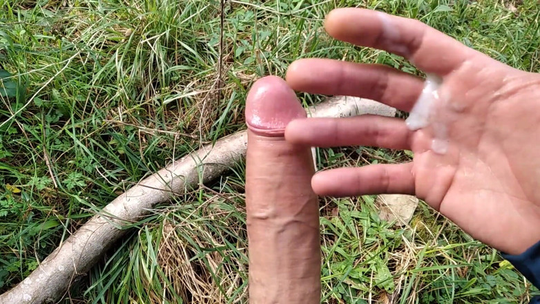 Elvissc: Tatăl vitreg excitat a mers pe o drumeție, când a...