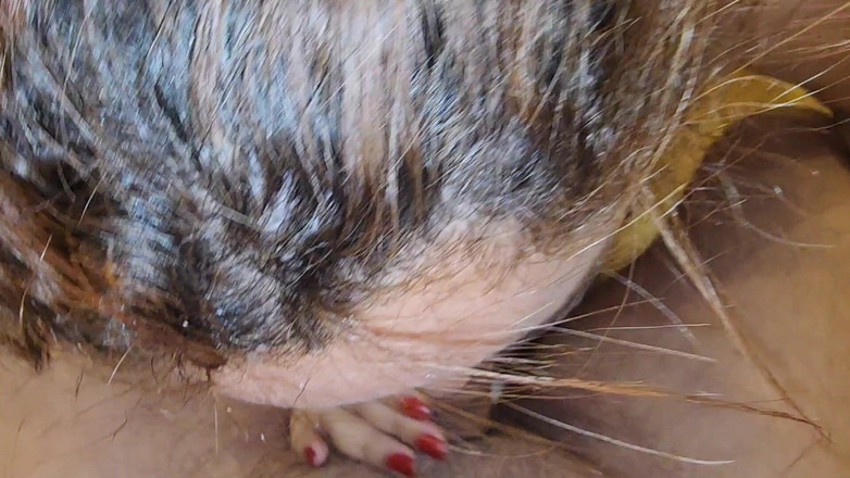 naughtylittleant: 的小蚂蚁 e o 男孩完成 01