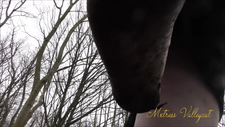 Mxtress Valleycat: Succubus shrinks you in the woods