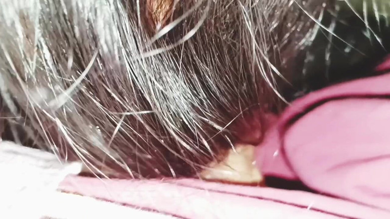 Telugu honey lips: Zia con fidanzato