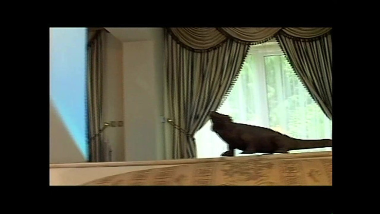 XTime Vod: Итальянцам нравится темно-черный (оригинальная необрезанная версия)