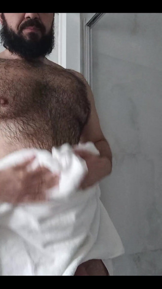 Ulysses the bear: 晾干