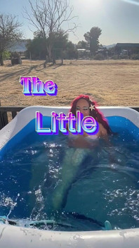 The Little Whoremaid