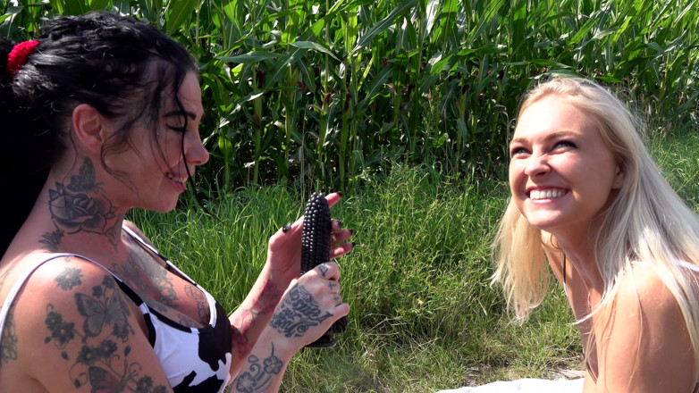 Megan Inky: วัวตัวเมีย ฉันกับซิสเว็ทในทุ่งข้าวโพด