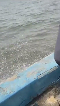 Un viaggio attraverso il mare