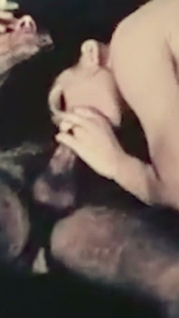 8mm Private Orgy - Never Meant to Be Seen