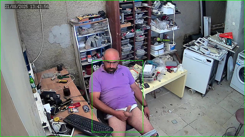 CenkAy: Bear Daddy Caught on Security Camera