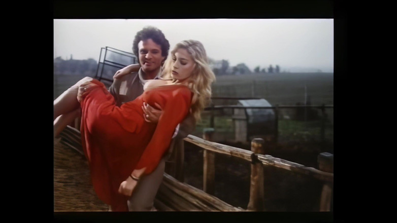 Vintage Megastore Full hd: La Prostituée Est Très Provocante