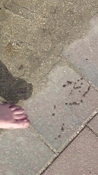 TVättar Fötterna På Stranden I Horumersiel