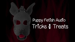 Campsissyboi: Audio verze Puppy Fetish