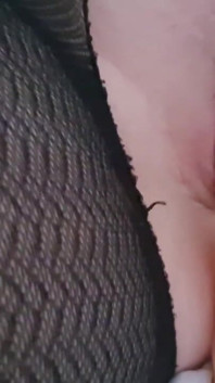 Perfect Pussy