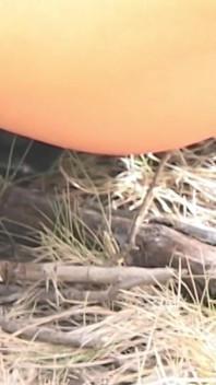 Luna: Latin Whore Making Piss