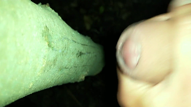 Idmir Sugary: Přidal jsem své sperma na "cestovní cum strom"