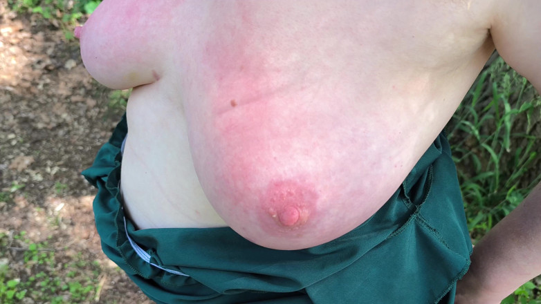 Bouncy Tits Action: Red Breasts in the Forest