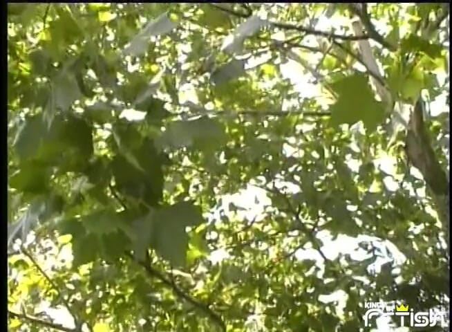 Big Tits for You: Nadržená MILFka s velkými prsy dostane její šukací díry venku chlapem...