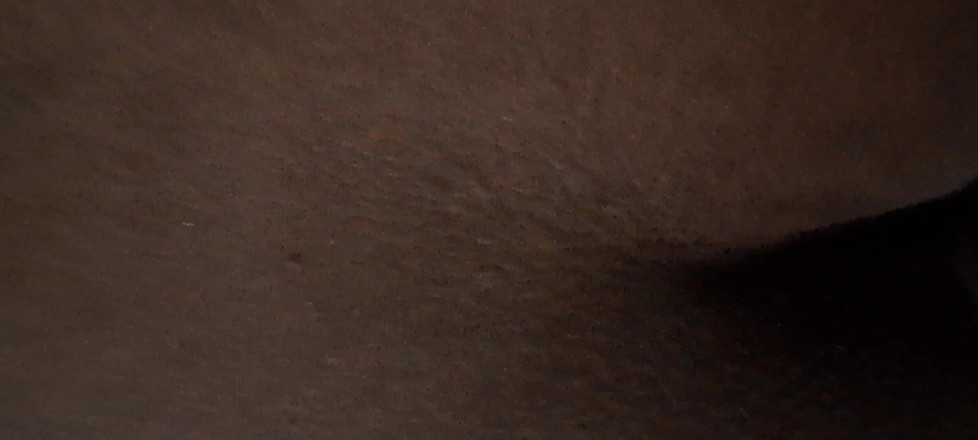 Localsexlove011: Assam ragazza sega e ditalino spettacolo di figa e tette