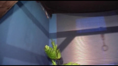 Deutschland porn: Швидкий секс перед тим, як повернутися додому