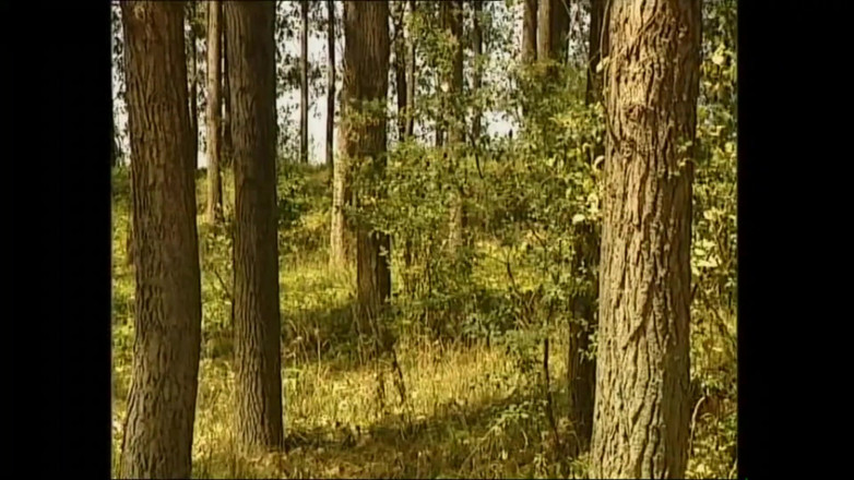MMV TV - our best full movie: Si sundal yang tidak pernah puas merayu untuk gaya doggy...