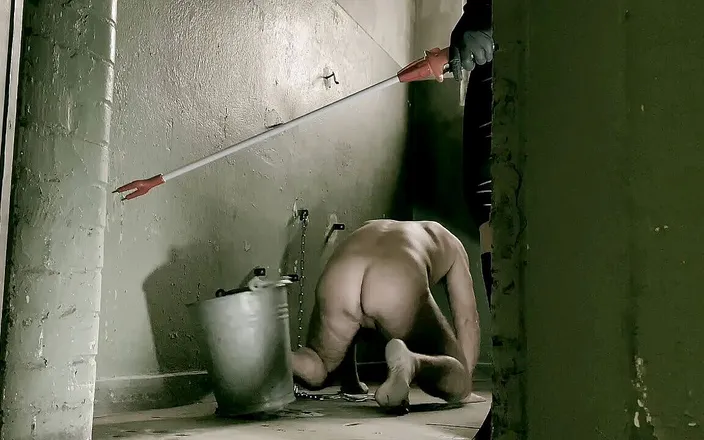 Mistress April: Dominatrix Mistress April - whipping drill pvs pc