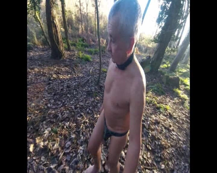 Andy: Bosco bagnato